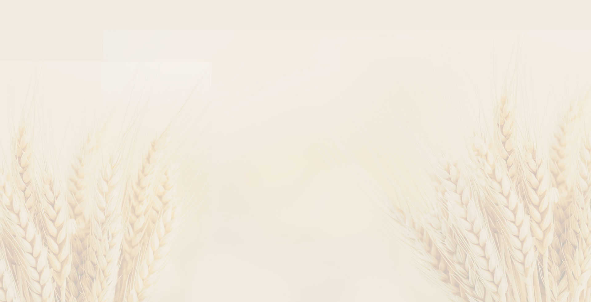 pastificio-lagano-nasce-a-roma-dalla-passione-autentica-di-luca-per-il-mangiare-bene